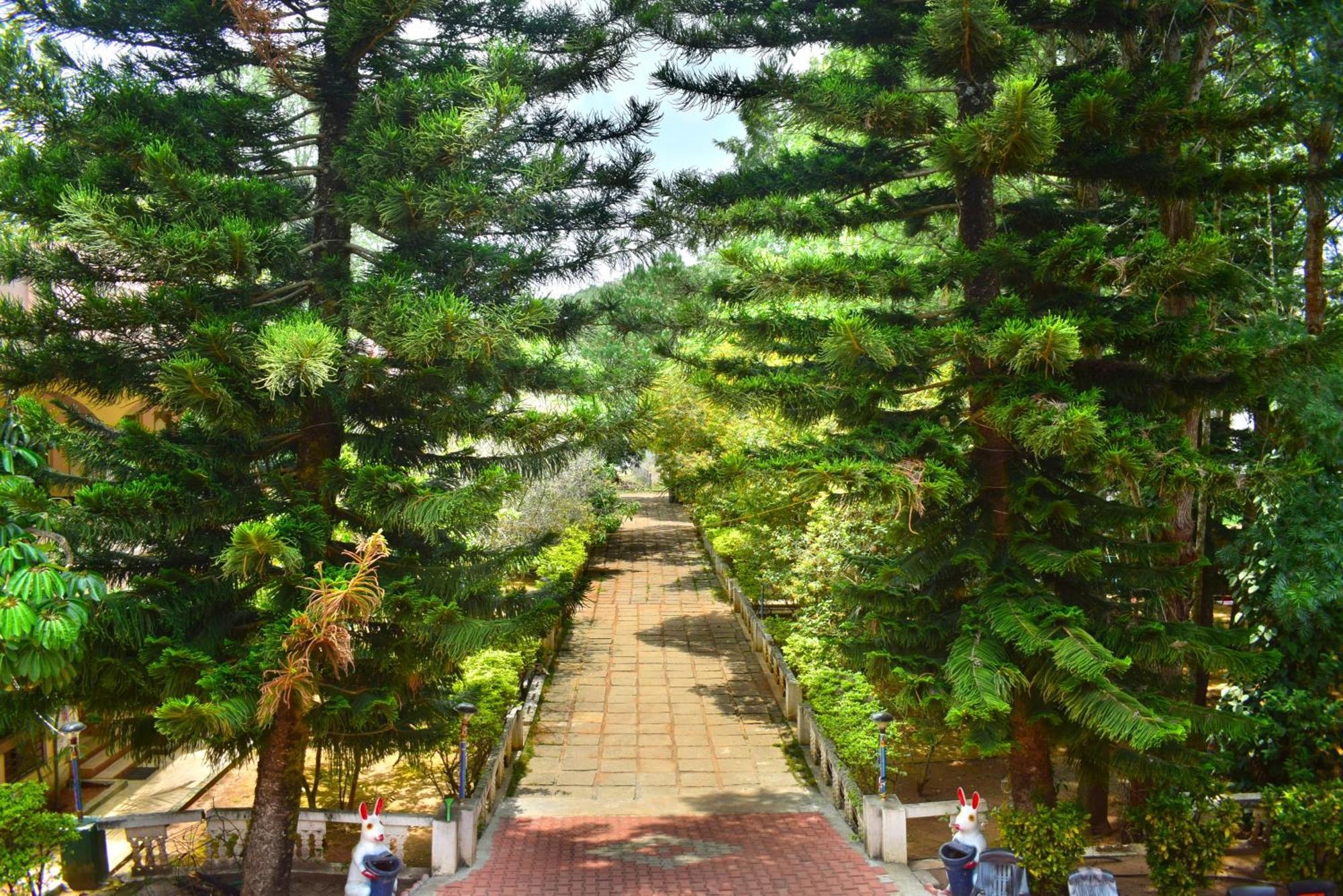 Jains Royal Palace Resorts Yelagiri Eksteriør billede